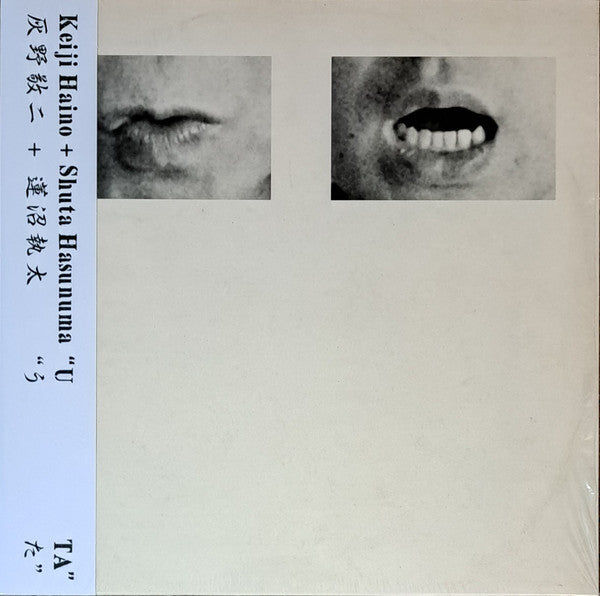 蓮沼執太 Shuta Hasunuma - WHITE NOISE RECORDS