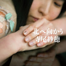 寺尾紗穂 Saho Terao - 北へ向かう