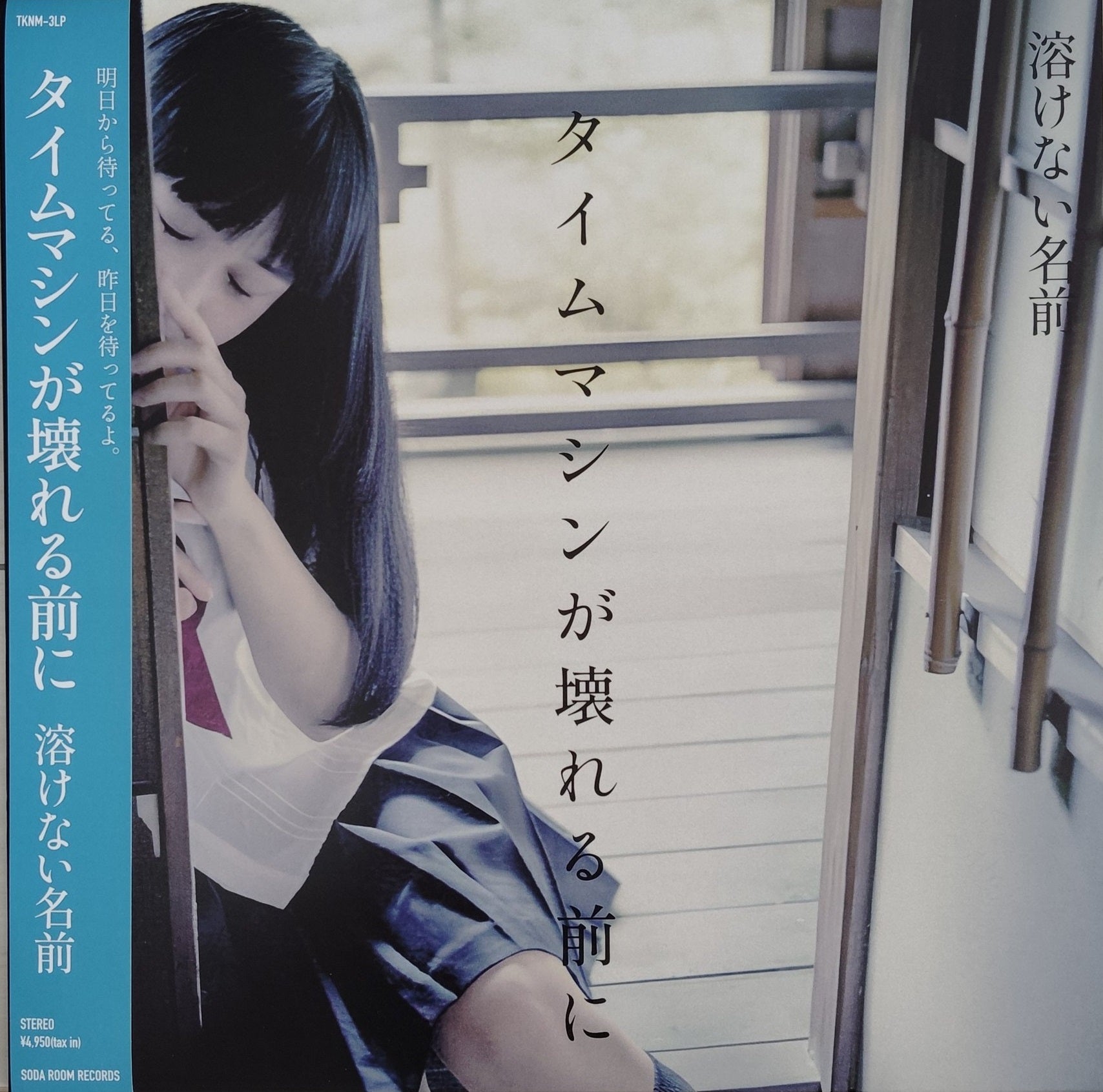 溶けない名前 Tokenai Namae - タイムマシンが壊れる前に Before the