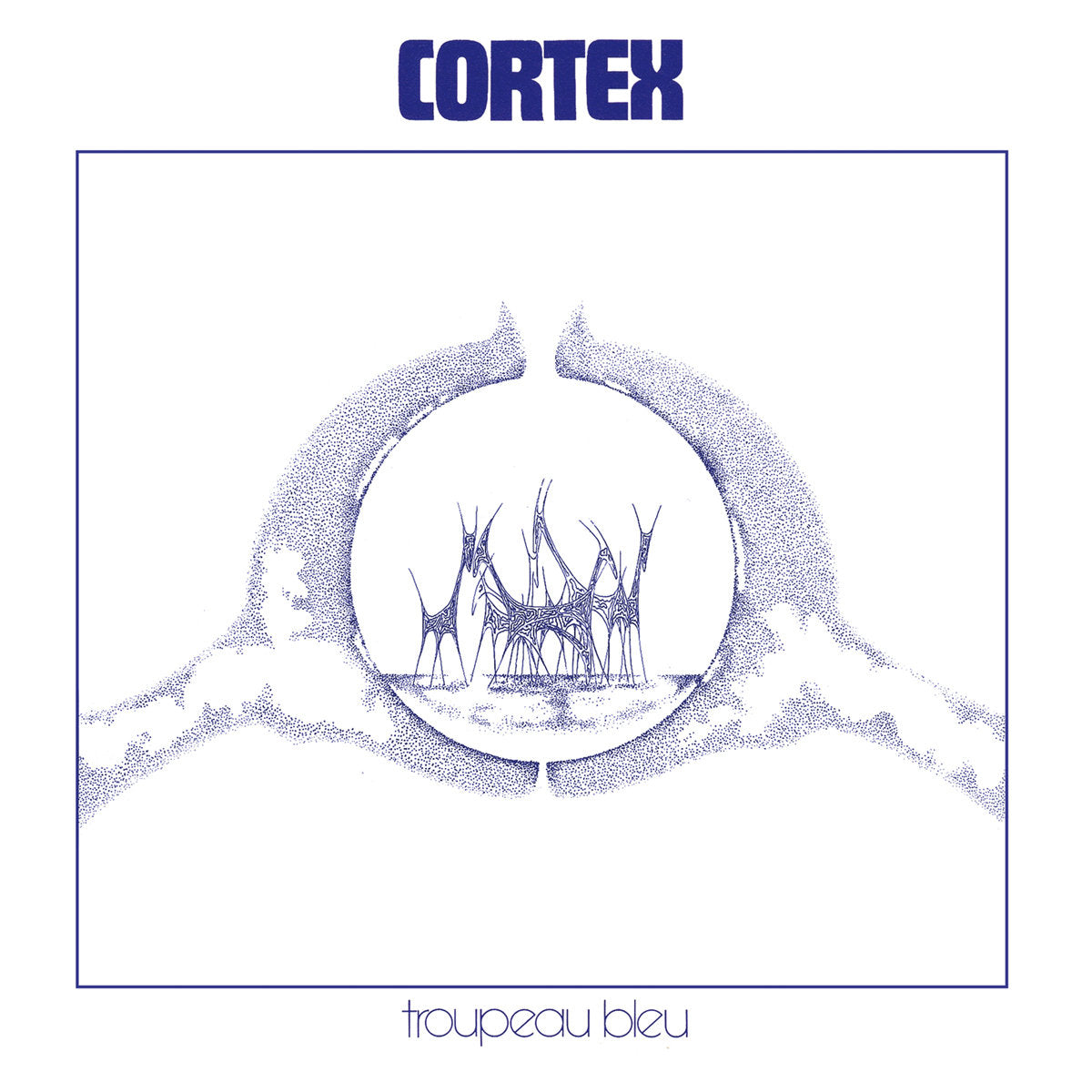 a*a様 Cortex Troupeau Bleu LP レアグルーヴ cortex-troupeau-bleu-50th-