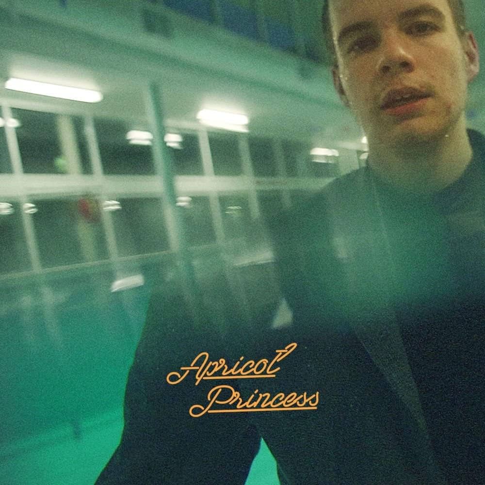 Rex Orange County Apricot Princess 帯付 CD rex-orange-county-apricot-
