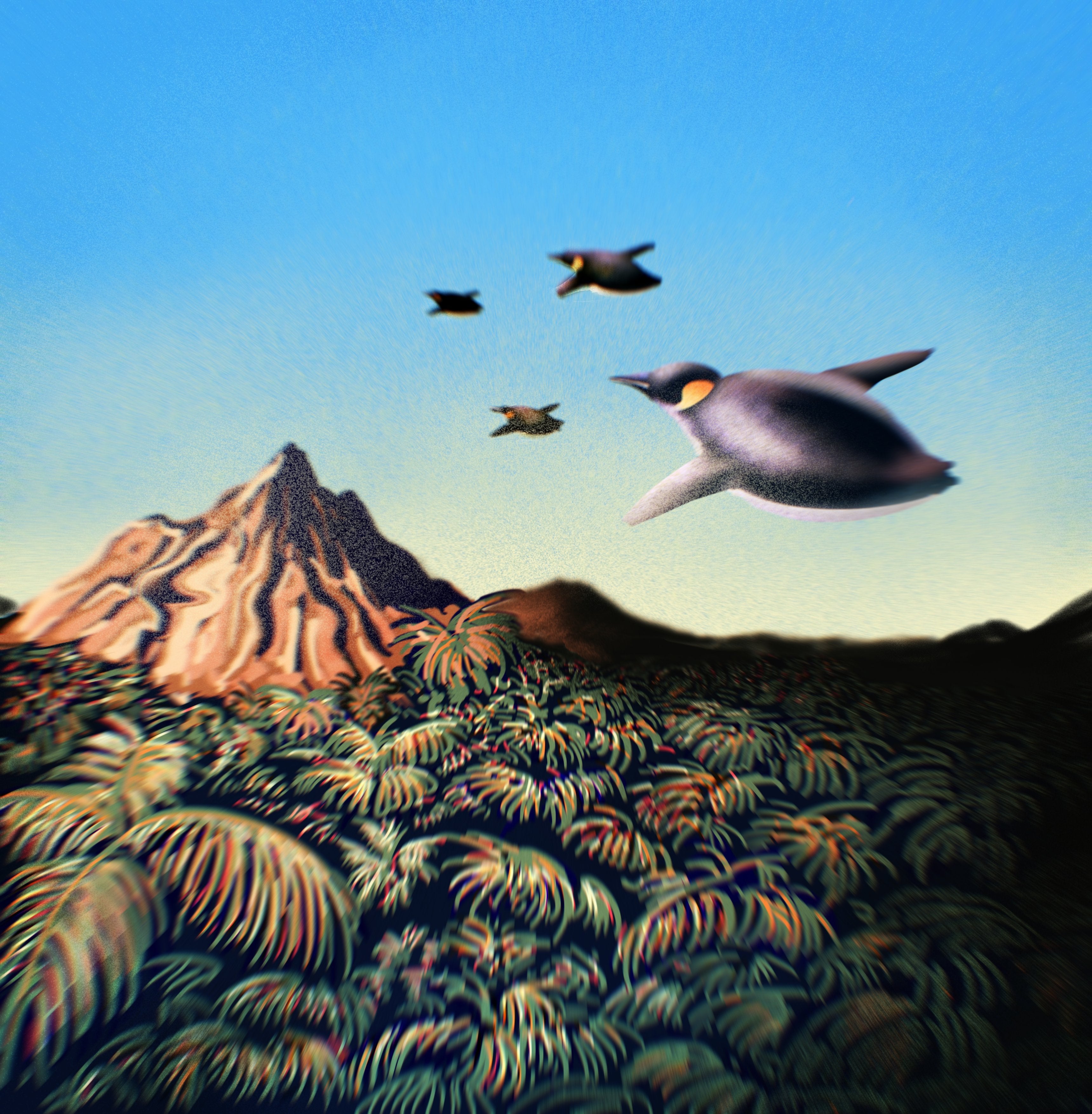 SOUTH PENGUIN サウス・ペンギン R LP South Penguin - South Penguin