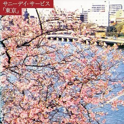 Sunny Day Service - WHITE NOISE RECORDS
