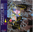 平沢進 Susumu Hirasawa - Virtual Rabbit