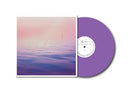 The Fin. – Glowing Red On The Shore