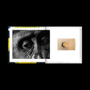 Various Artists - PRSNT