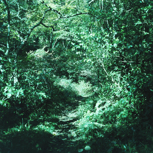 Ironomi - 琹の葉 Kotonoha