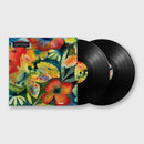 Adrianne Lenker - Songs And Instrumentals