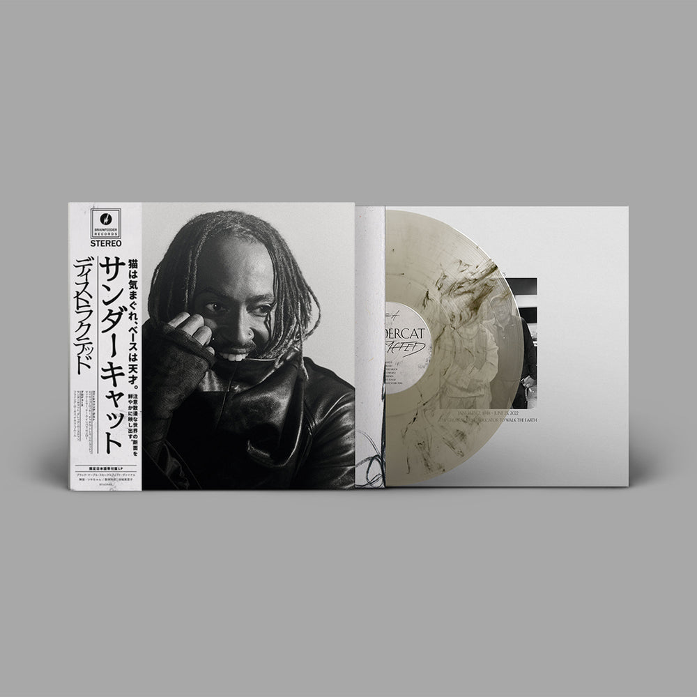 Thundercat - Distracted