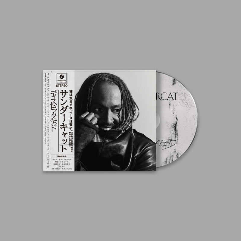Thundercat - Distracted