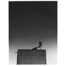 Ø (Mika Vainio) - Sysivalo