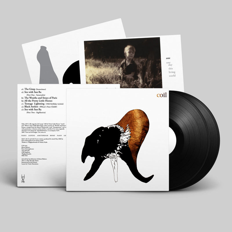 Coil - Black Antlers