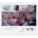 坂本龍一 Ryuichi Sakamoto, 中島伸行 Nobuyuki Nakajima - Yae no Sakura (TV Drama)  Original Soundtrack Complete Edition