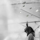 小沢健二 Kenji Ozawa - Ozawa Kenji at Hibiya Amphitheater (Official Bootleg)