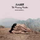 左小祖咒 Zuoxiao Zuzhou - 走失的主人 Stray Master (Remix)