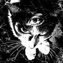 東京酒吐座 Tokyo Shoegazer - Remains