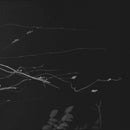 石橋英子 Eiko Ishibashi, 松丸契Kei Matsumaru, 山本達久 Tatsuhisa Yamamoto, Jim O'Rourke, Giovanni Di Domenico - Sakuraza