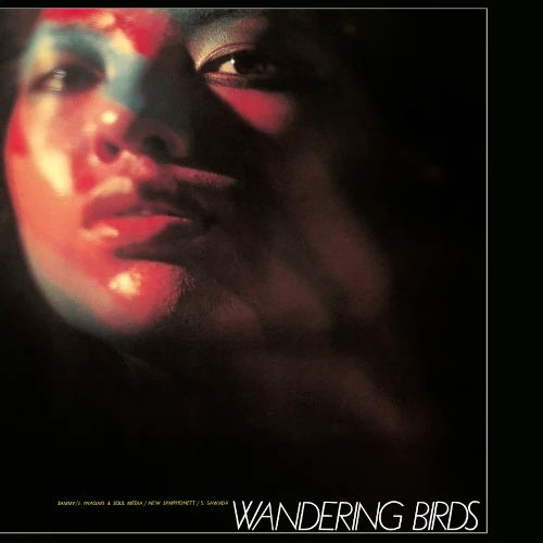 稲垣次郎 Jiro Inagaki & His Soul Media ‎– Wandering Birds 女友達 [PRE-ORDER, Release Date: 1-NOV-2025]