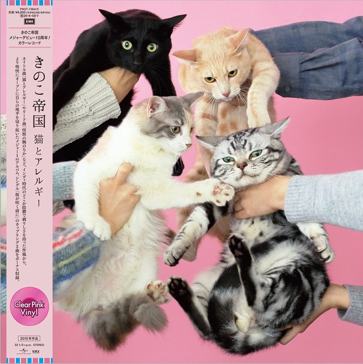きのこ帝国 Kinoko Teikoku - Neko to Allergy [PRE-ORDER, Colored LP Release Date: 6-DEC-2025]