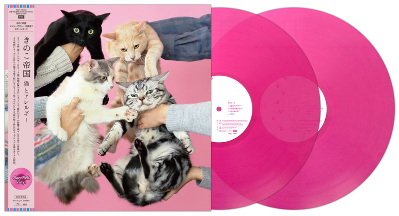 きのこ帝国 Kinoko Teikoku - Neko to Allergy [PRE-ORDER, Colored LP Release Date: 6-DEC-2025]