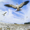 高中正義 Masayoshi Takanaka - SEYCHELLES