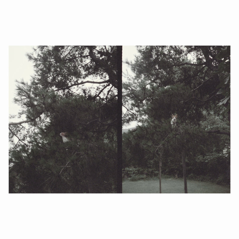 Okkyung Lee - just like any other day (어느날) : background music for your mundane activities [PRE-ORDER, Vinyl Release Date: 5-SEP-2025]