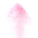 Qasim Naqvi - 
 Chronology