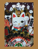 椎名林檎 Shiina Ringo - Sheena Ringo To Kyatsura To Shiru Shogyo Mujo