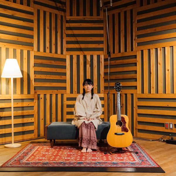 井上園子『ほころび』/ Sonoko Inoue『Hokorobi』2LP 新品 井上園子 Sonoko Inoue - Hokorobi