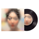 The fin. - Night Time