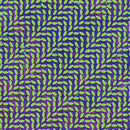 Animal Collective - Merriweather Post Pavilion (15th Anniversary Edition)