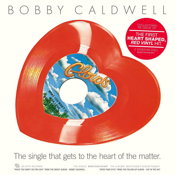 洋楽 BobbyCaldwell What You Won't Do for Love bobby-caldwell-what-you-won-t-