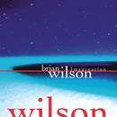 Brian Wilson - Imagination