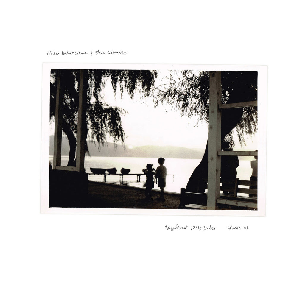 Chihei Hatakeyama & Shun Ishiwaka - Magnificent Little Dudes
