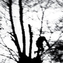 Cindytalk - Camouflage Heart