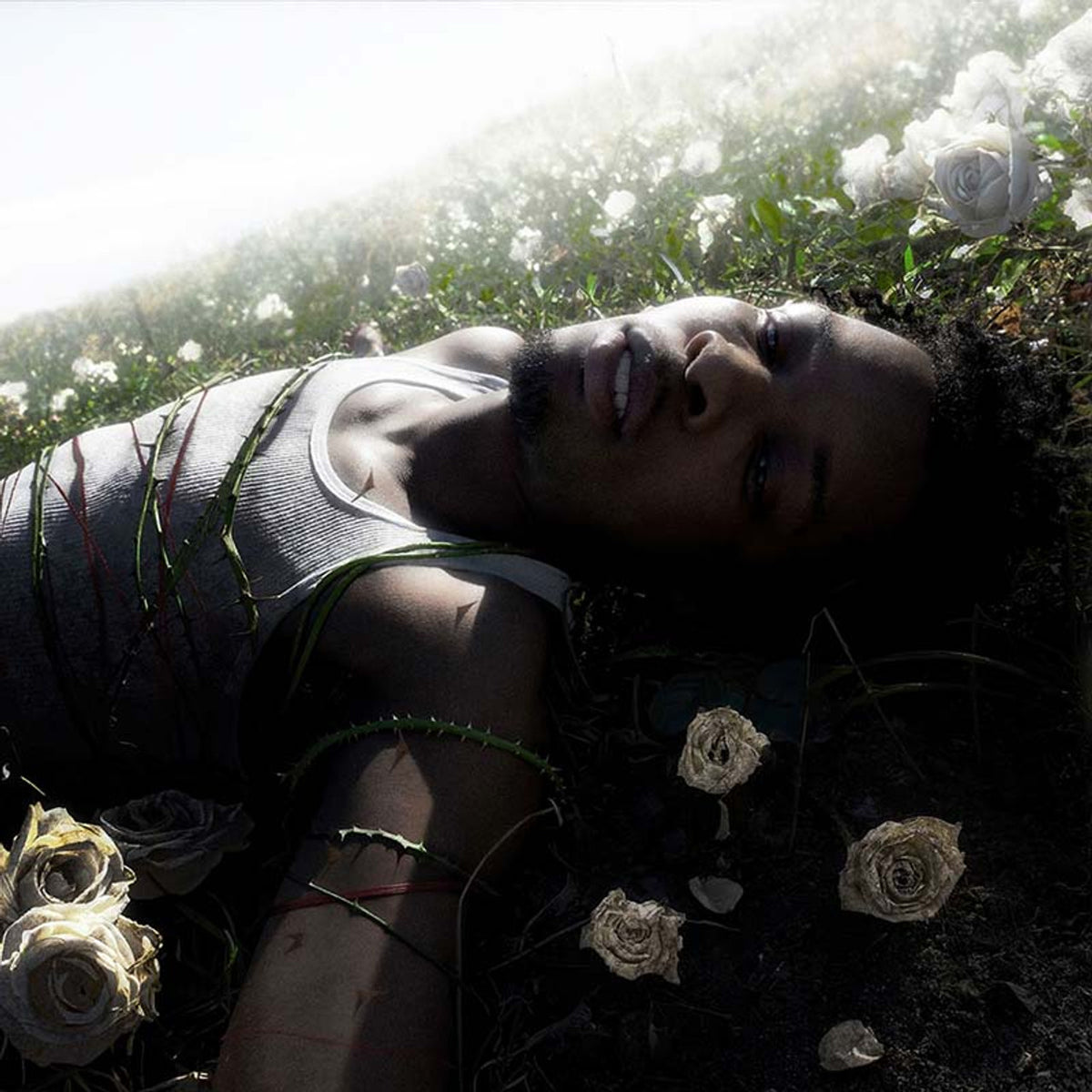 d4vd-withered_1200x.jpg?v=