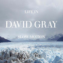 David Gray - Life In Slow Motion