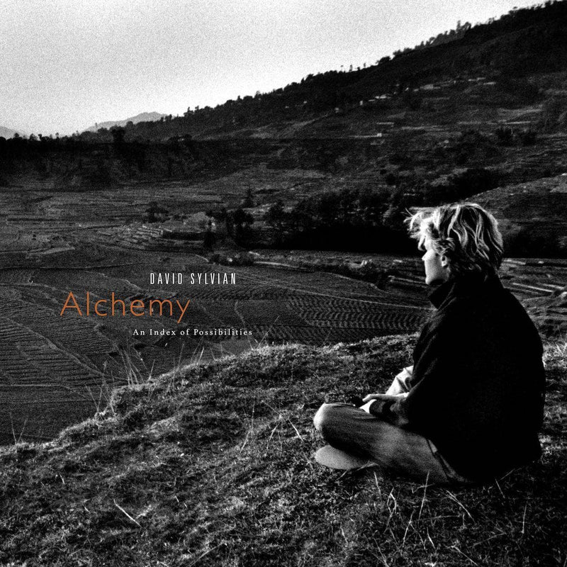 David Sylvian - Alchemy An Index Of Possibilities