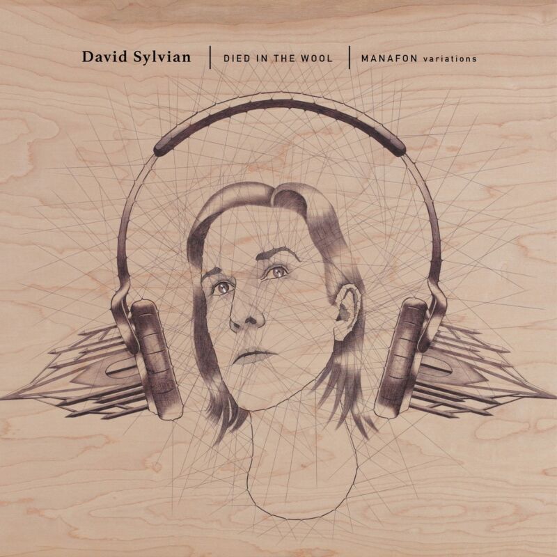 David Sylvian - Died In The Wool | Manafon Variations