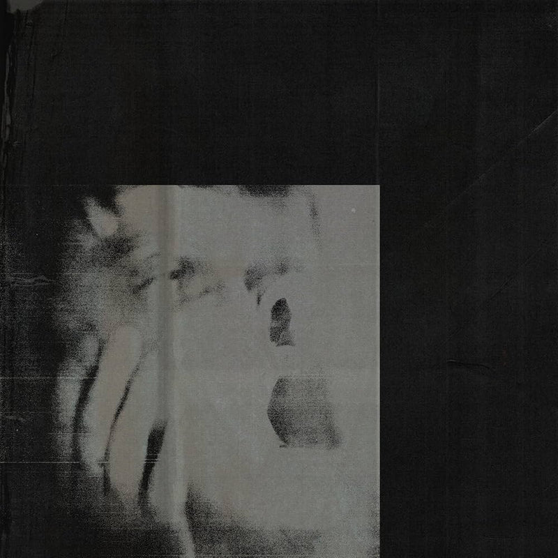DITZ - Never Exhale