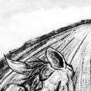 工工工 Gong Gong Gong - Siren / Something’s Happening