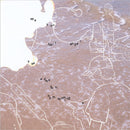 Homecomings - See You, Frail Angel. Sea Adore You.