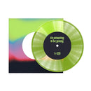 Fontaines D.C. - It's Amazing To Be Young / Before You I Just Forget