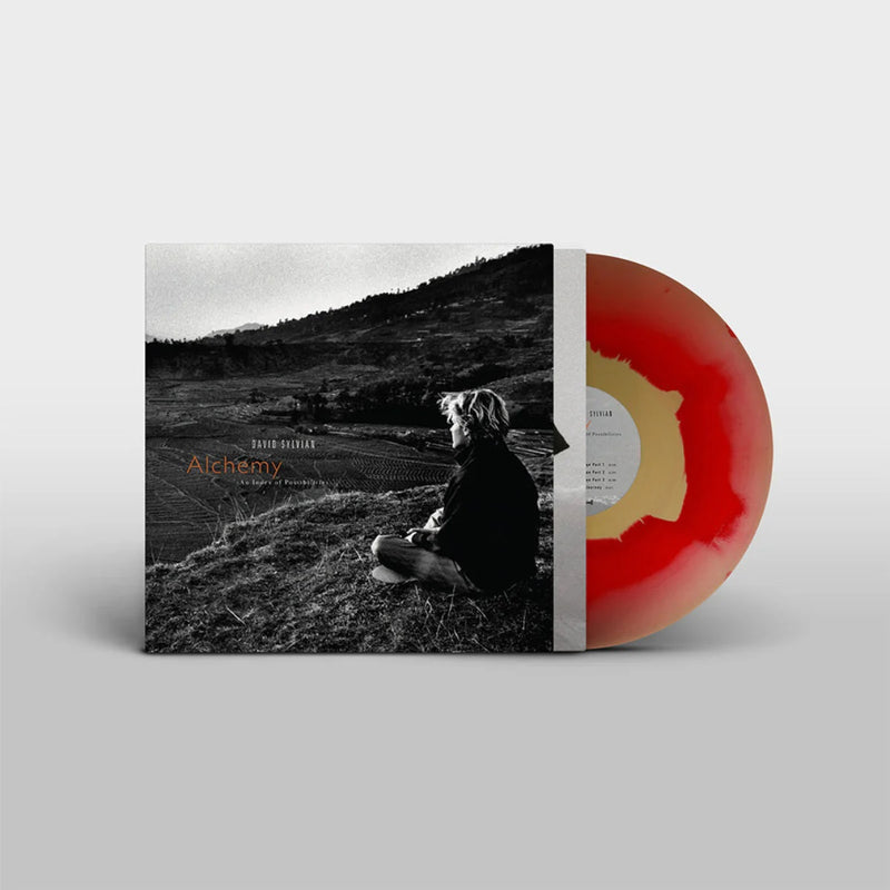 David Sylvian - Alchemy An Index Of Possibilities