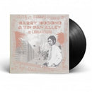 細野晴臣 Haruomi Hosono & Tin Pan Alley - In Chinatown