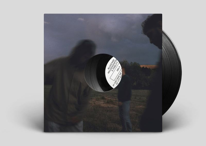 Bluestaeb, Melodiesinfonie, S. Fidelity - 365 P