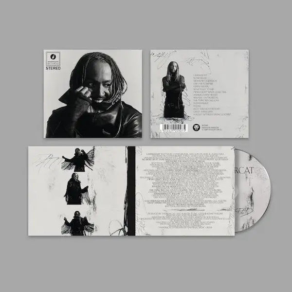 img22465_thundercat-