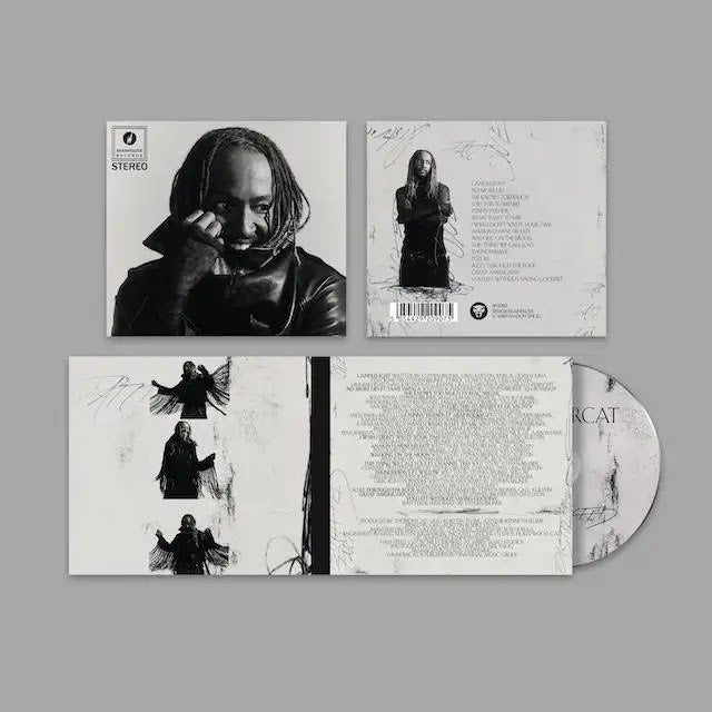 Thundercat - Distracted