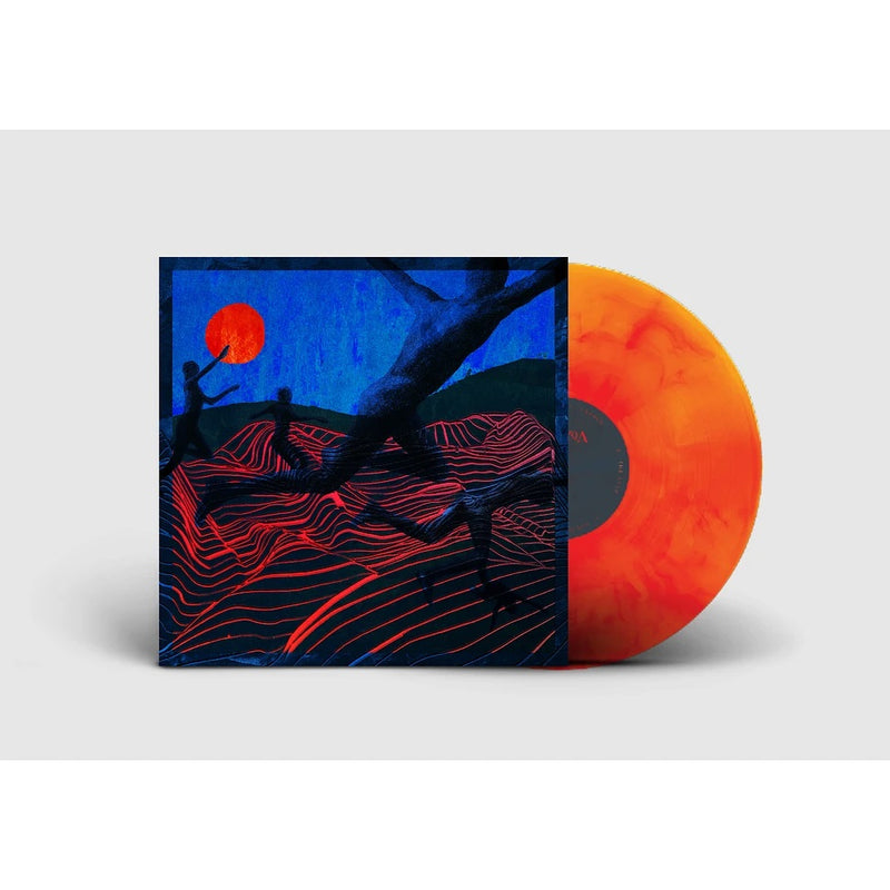 NAUSYQA - NAUSYQA