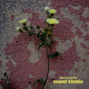 Mount Kimbie - Fabric Presents Mount Kimbie